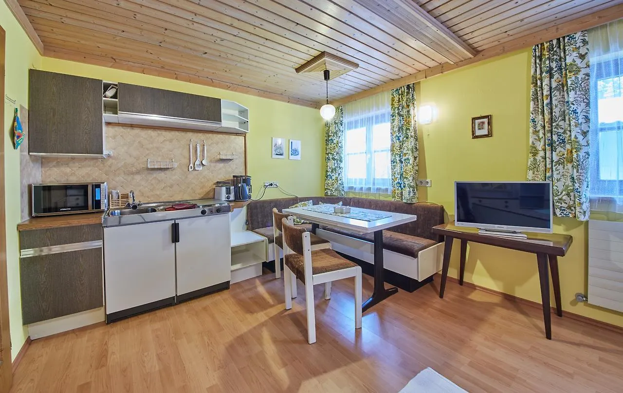 Appartement Rainer Saalbach-Hinterglemm Apartment