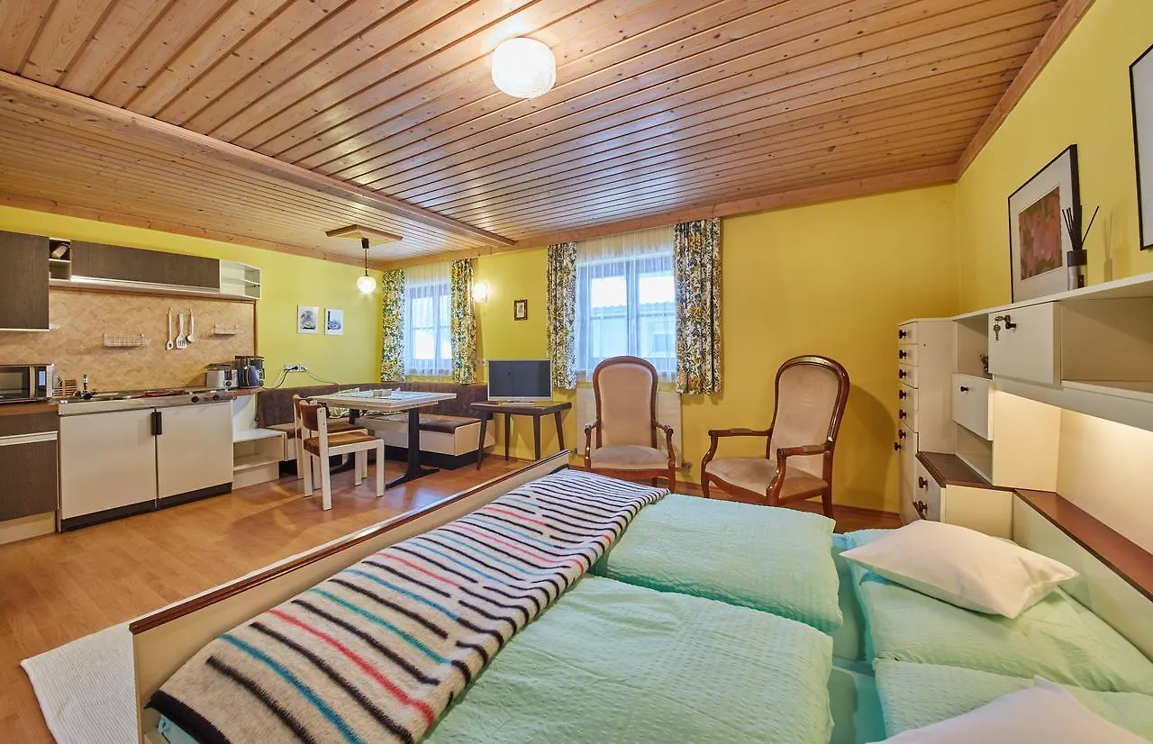 Appartement Rainer Saalbach-Hinterglemm Austria